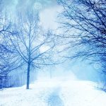 Winter Traum: La guía definitiva para disfrutar de la temporada más mágica del año