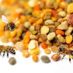 polen-de-abeja