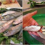 sardinas-frescas-mercadona
